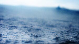 石垣島の雨の日の水面と水滴